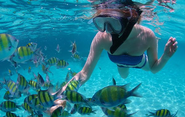 PBonito-EmEstates-Activities-StoneIsland-565ccc79d431f-620x450